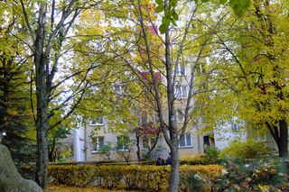 Lublin. Roznosiciel ulotek zaatakował starszą kobietę. 24-letni Bartosz wpadł w furię