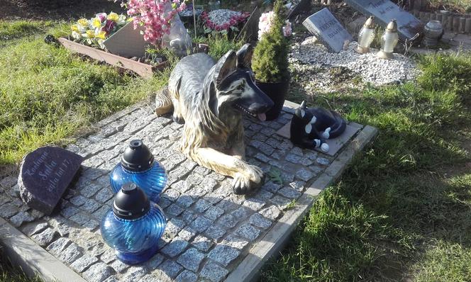 8 Cmentarz dla zwierząt w Łodzi