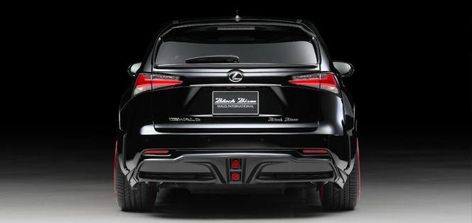 Lexus NX by Wald International