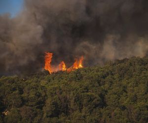 Ogromny pożar we Francji! Spłonął obszar wielki jak Paryż