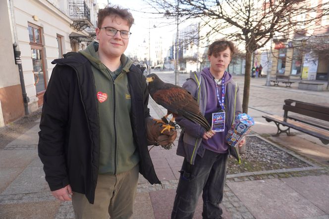 WOŚP 2025. Wolontariusze kwestują w całym kraju