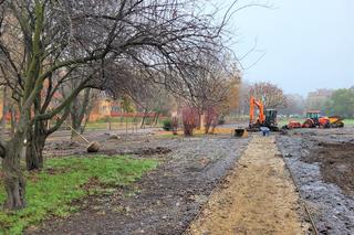 W mieście będzie jeszcze bardziej zielono. Trwają prace w krakowskich parkach