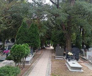 Ceny zniczy i wiązanek. Cmentarz Winiarski - Piątkowo Poznań