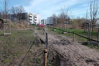 Miasto chwali się Parkiem Krzyckim. Na hucznym otwarciu mieszkańcy zastali plac budowy 