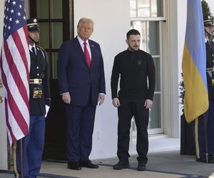 Wołodymyr Zełenski i Donald Trump. Spotkanie w Waszyngtonie 