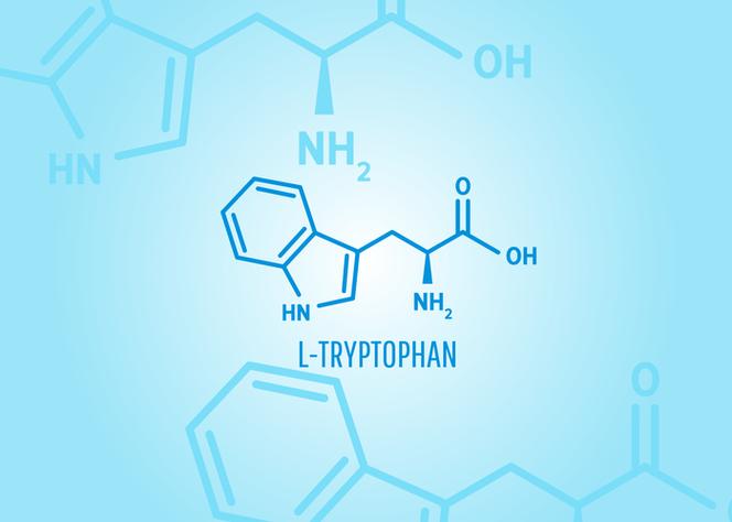 Tryptofan prekursorem serotoniny