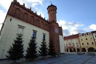 Choinka na Placu Kazimierza w Tarnowie