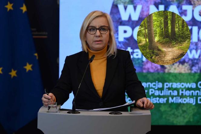 Zakaz wycinania drzew w lasach pod Wrocławiem. Nowa ministra Klimatu i Środowiska zdecydowała