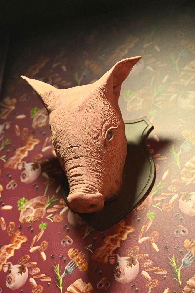 Reporterzy "Super Expressu" zamienili się w świnie. To pierwsze takie miejsce w Polsce. Nietypowy escape room w Warszawie