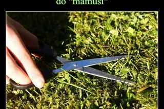 Dzień Teściowej 2024 w memach internautów