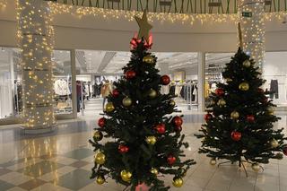 Połowa listopada, a zielonogórska galeria przygotowana już do świąt