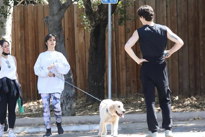 Shawn Mendes i Camila Cabello z psem na spacerze