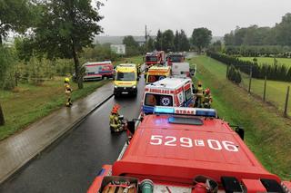 Śmiertelny wypadek pod Rawą Mazowiecką. Trzy osoby zginęły w zderzeniu BMW z busem
