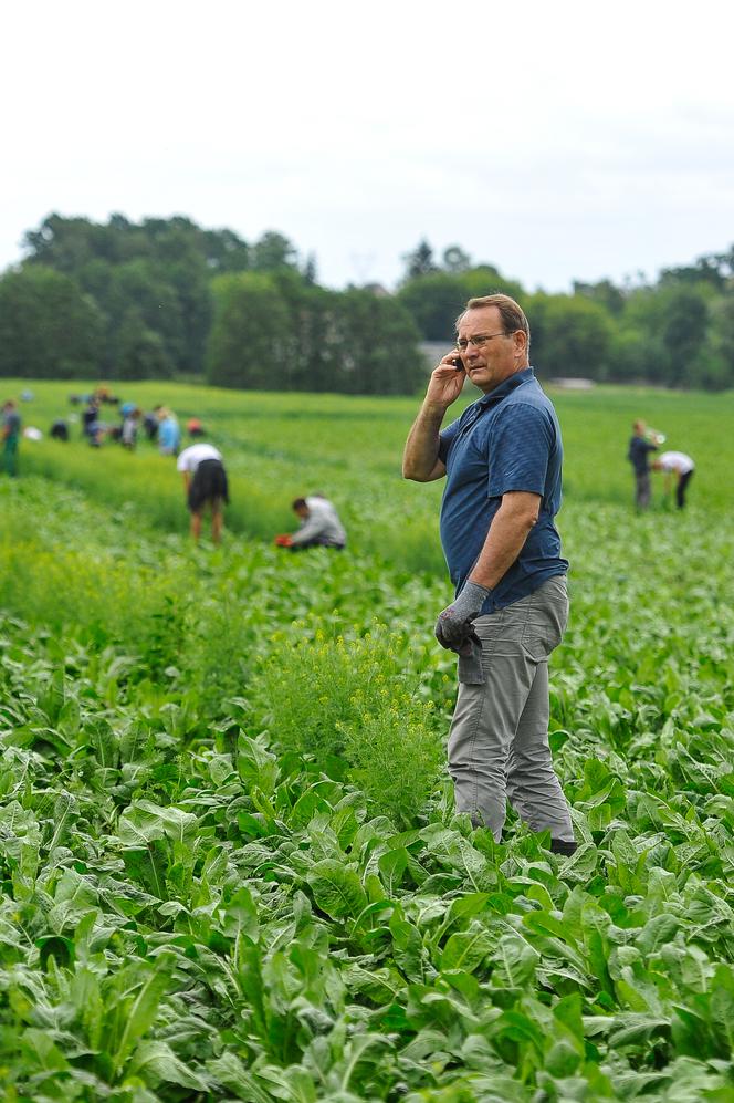 POSEŁ KŁOPOTEK RWIE CHWASTY.