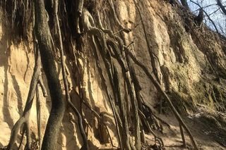 Wąwóz Królowej Jadwigi w Sandomierzu