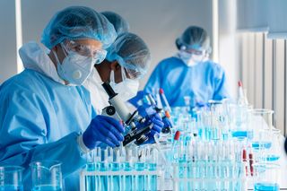 Wirus Oropouche w Europie. Czy grozi nam nowa epidemia gorączki leniwca?