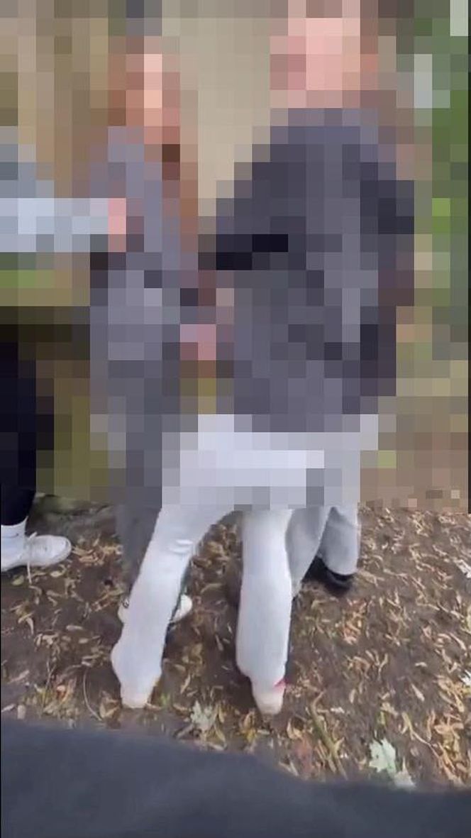 Brutalny atak na 14-latkę w Zielonej Górze! Wstrząsające nagranie trafiło do sieci
