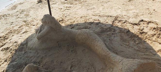 Szukamy imienia dla Syrenki, która pojawiła się na plaży w Brodach
