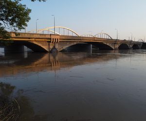 Powódź we Wrocławiu. Tak wygląda Odra w czwartek 19.09.2024 