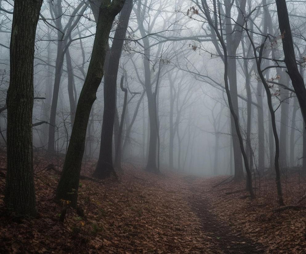 Polskie Blair Witch Project. Ten las lepiej omijać szerokim łukiem