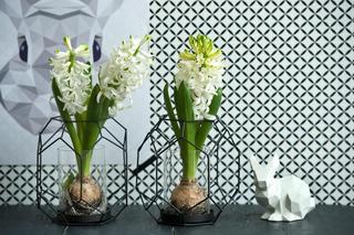 Dekoracje wielkanocne