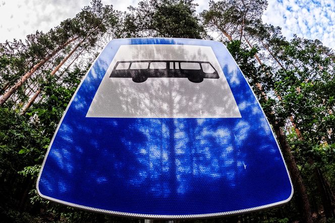Gmina Kłodawa będzie bardziej zielona