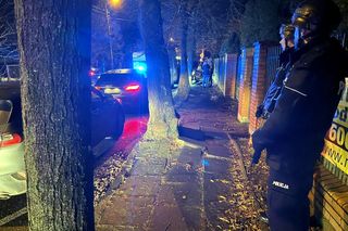 Policja udaremniła przemyt 60 kg marihuany