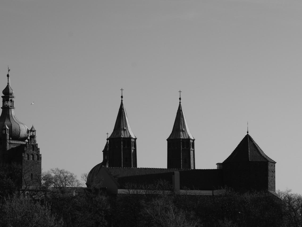 Zostań przewodnikiem turystycznym po Płocku! PLOT przygotowała ciekawe szkolenie