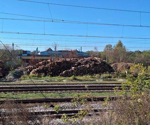 Olbrzymia hałda trocin na kolejowej bocznicy w Starachowicach. Protest mieszkańców 