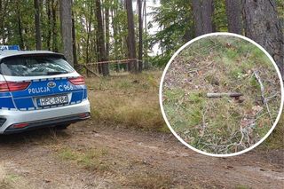 W czasie prac leśnych znaleziono nabój artyleryjski z czasów II wojny