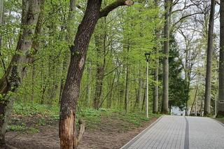 Wilczy Szaniec to jedna z najpopularniejszych atrakcji w Polsce. Zobacz zdjęcia