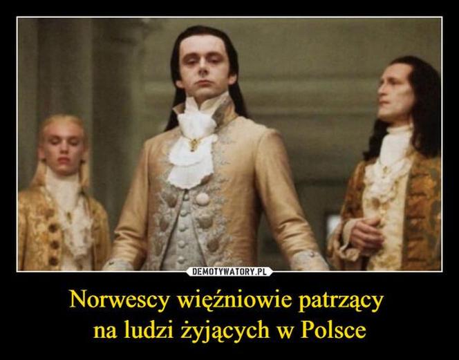 Tak się śmieją z Polski i Polaków! TOP 40 najśmieszniejszych memów