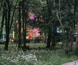 Olsztyn zamienił się w magiczną krainę. Park Świateł przyciągnął tłumy!