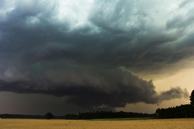 Coraz cieplej, ale jeden szczegół popsuje pogodę! IMGW ostrzega [Prognoza na 21.05.2024]