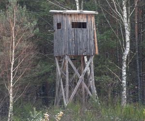 35-latek śmiertelnie postrzelony w czasie polowania! Policja zatrzymała myśliwego. To był wypadek?