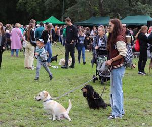 IX Piknik Przyjaciół Schroniska w Toruniu