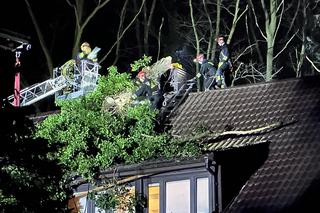 Gigantyczne drzewo runęło do dom jednorodzinny. Dramatyczna akcja ratunkowa w Warszawie
