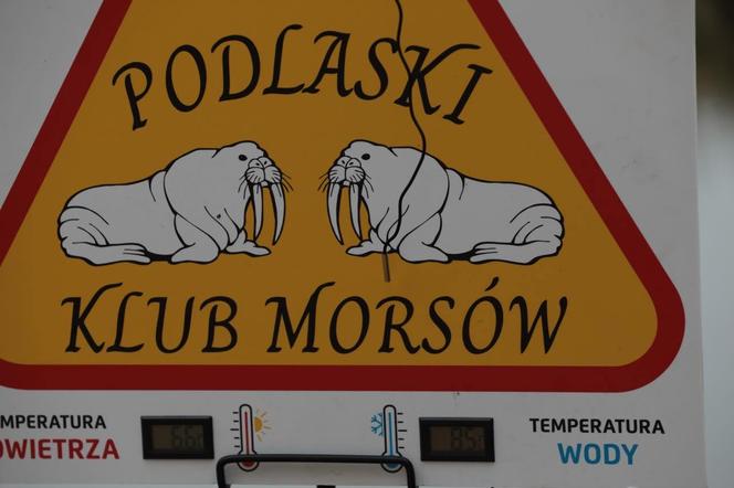 Podlaski Klub Morsów