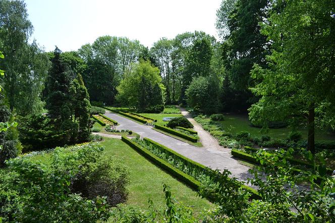 7 najładniejszych ogrodów botanicznych w Polsce. Kiedy je odwiedzić i gdzie są?