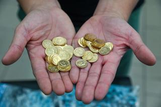 Niezwykłe znalezisko w lesie na obrzeżach Szczecina