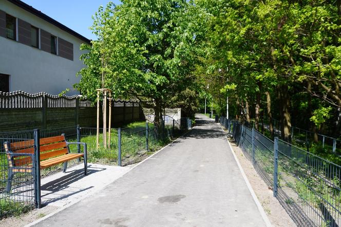 Tak wygląda park w dolinie Ślepiotki w Katowicach