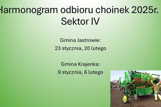 Znamy tegoroczny harmonogram odbioru choinek