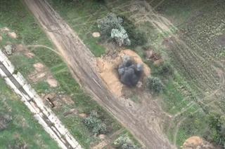 Ukraiński żołnierz stanął na nogi dzięki Polakom. W takich warunkach walczył [GALERIA]