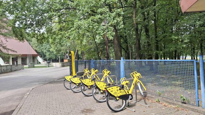 Wandale zniszczyli metrorowery w Zabrzu