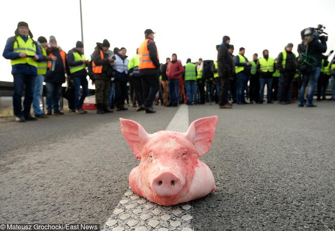 Protest rolników na A4 pod Brwinowem