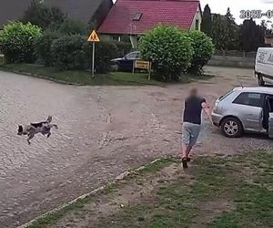 Złapał psa i rzucił nim o ziemię. Wstrząsające nagranie obiegło sieć