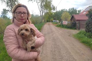 Moją Beze zagryzły psy nowych sąsiadów