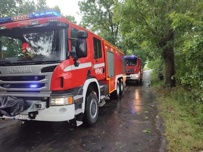 Burzowe skutki w okolicy Grudziądza