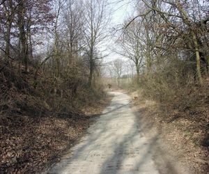 Gmina Brudzeń Duży nazywana jest Mazowiecką Szwajcarią