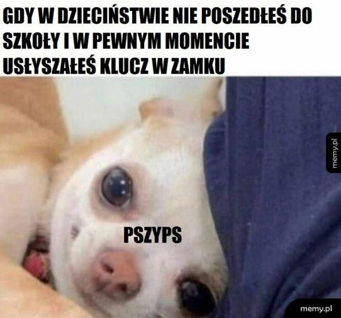 Najlepsze memy na dzień wagarowicza. Wy też urywaliście się z lekcji? 